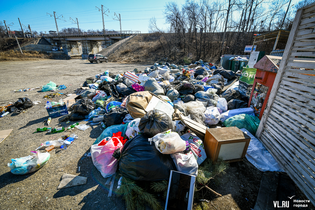 В пригороде Владивостока зреет мусорный коллапс — на Спутнике и Садгороде  не хватает контейнерных площадок (ФОТО) – Новости Владивостока на VL.ru