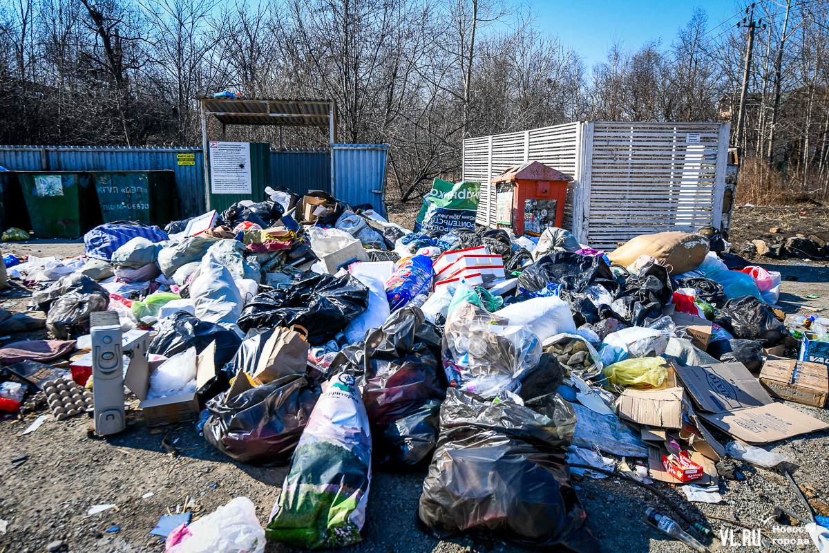 В пригороде Владивостока зреет мусорный коллапс — на Спутнике и Садгороде  не хватает контейнерных площадок (ФОТО) – Новости Владивостока на VL.ru