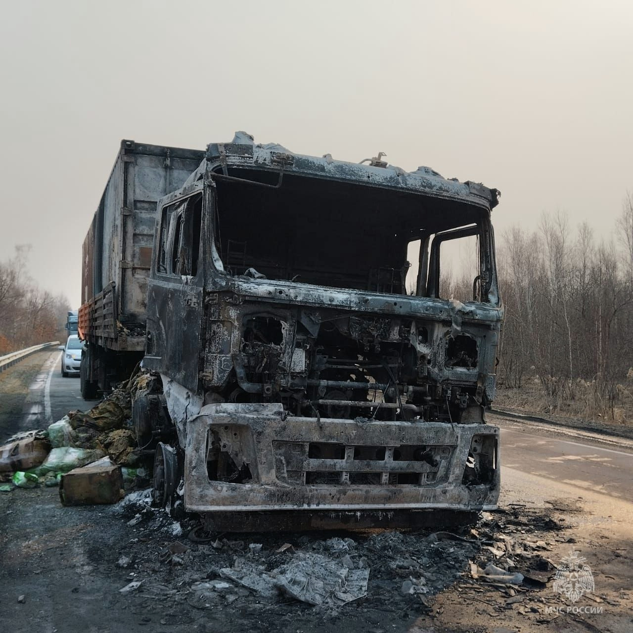 Фура с продуктами загорелась на ходу в Смидовичском районе (ФОТО) — Новости  Хабаровска