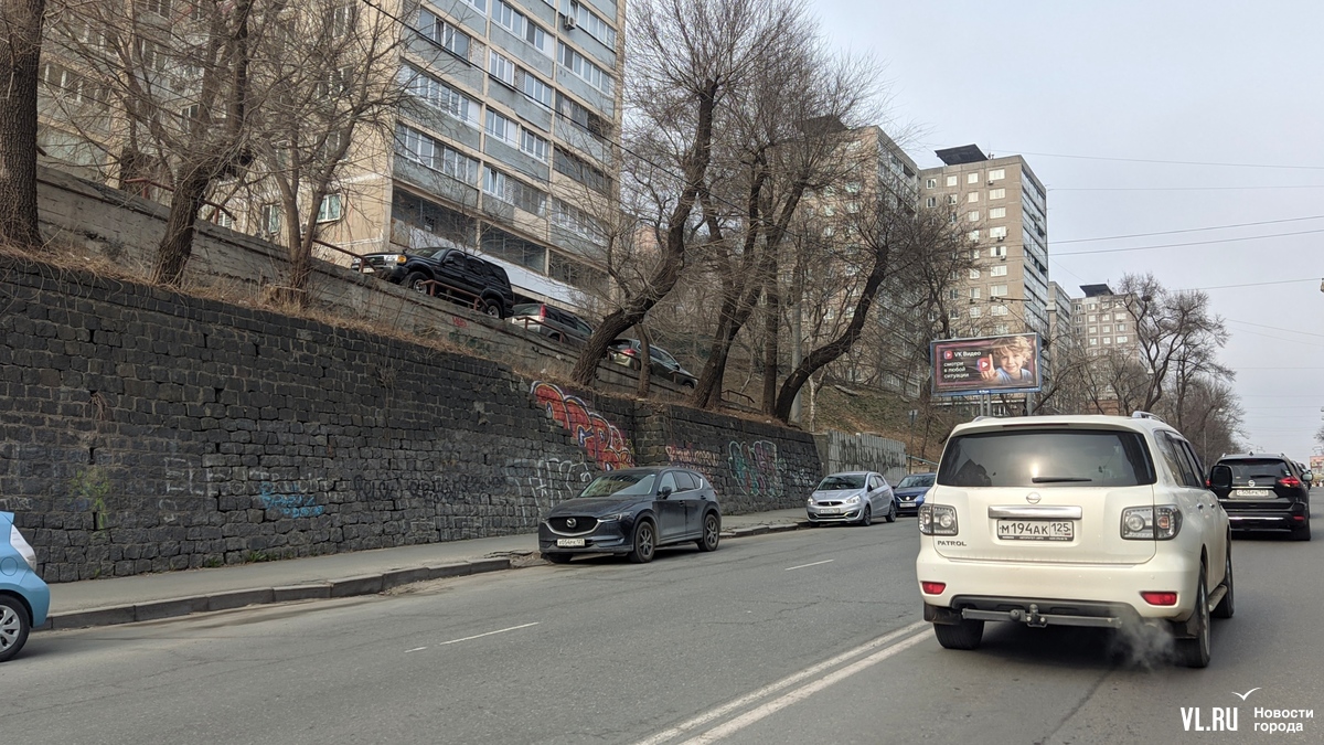 Администрация Владивостока собирается вводить новые зоны платных парковок и  ищет для них уже третьего оператора (СХЕМА) – Новости Владивостока на VL.ru