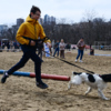 Собаки были рады побегать со своими хозяевами — newsvl.ru
