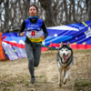 Преимущественно состязаются ездовые собаки, но организаторы никогда не ограничивают доступ к занятиям и соревнованиям по породному признаку — newsvl.ru