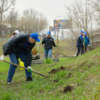 В озеленении приняли участие сотрудники «Газпром гелий сервис» — newsvl.ru