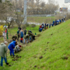 Около 40 человек занялись озеленением Курсантского сквера  — newsvl.ru