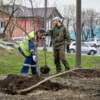 Работники городских служб помогают при высадке деревьев — newsvl.ru