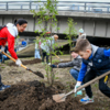 Детская помощь в высадке деревьев  — newsvl.ru
