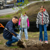Отец рассказывает дочкам, как правильно сажать деревья  — newsvl.ru