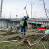 Подготовка земли к посадке деревьев — newsvl.ru