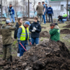 Набор почвы для присыпания деревьев — newsvl.ru