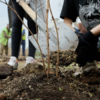 «Зелёный Владивосток» поделился лопатами со студентами — newsvl.ru