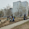 А вам слабо встать в субботу в 10 утра, чтобы посадить ёлку?  — newsvl.ru