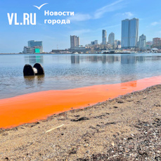 Водоросли сделали побережье бухты Фёдорова оранжевым 