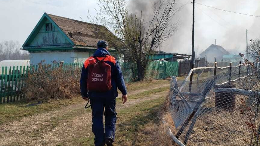 Двенадцать заброшенных дачных участков пострадали в СНТ «Галичный» из-за пожара (ФОТО)