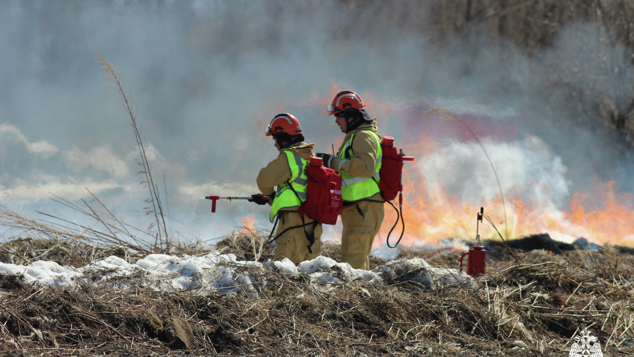 В ЕАО введен режим чрезвычайной ситуации из-за лесных пожаров