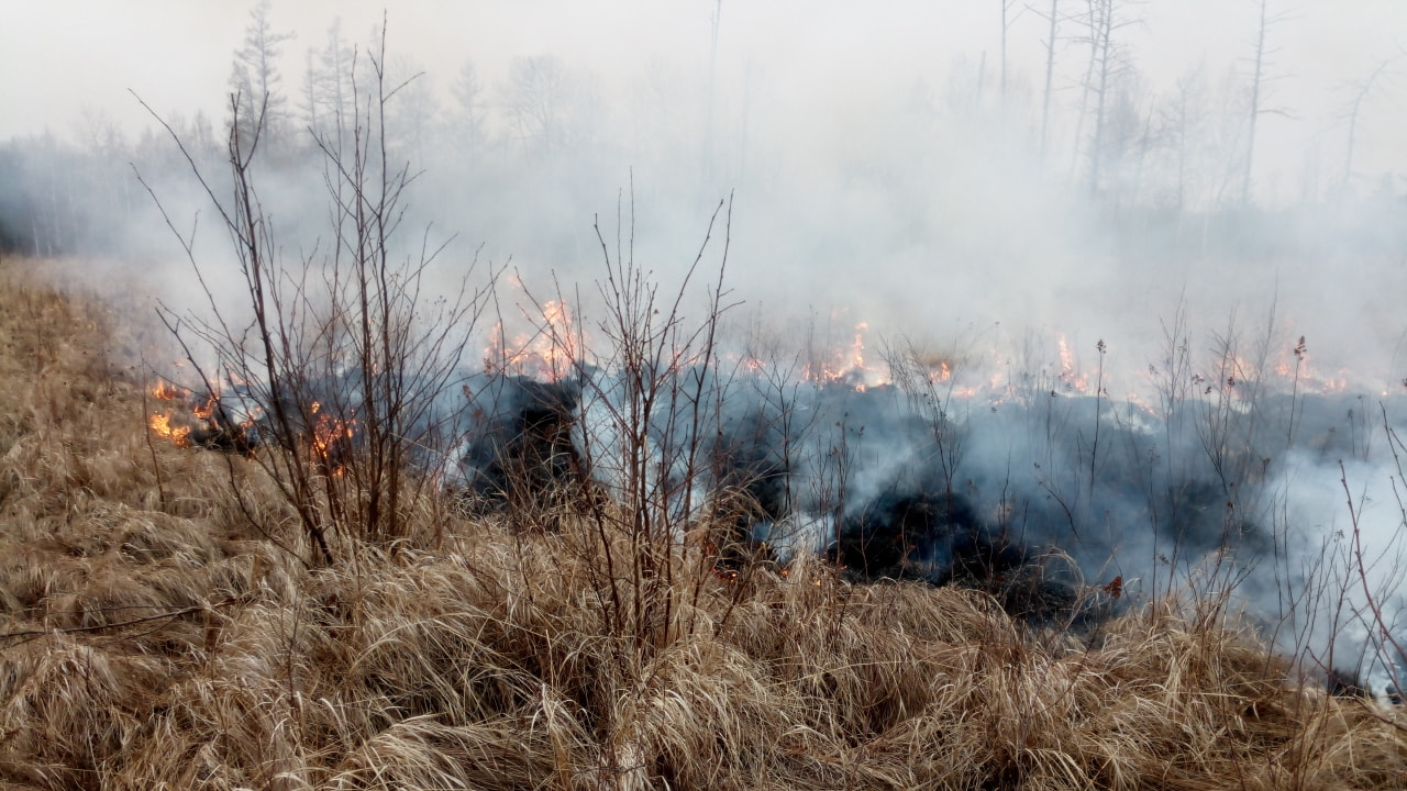 Помогла природа: крупный пожар потушили в Большехехцирском заповеднике