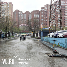 Во Владивостоке выпала треть месячной нормы осадков – «благодатные» дожди увлажнили почву и снизили опасность пожаров