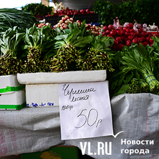 100 рублей за 100 грамм: щавель оказался самым дорогим среди первой зелени во Владивостоке