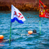 Участники заплыва с флагами — newsvl.ru