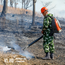 56 гектаров природных пожаров потушили в Приморье