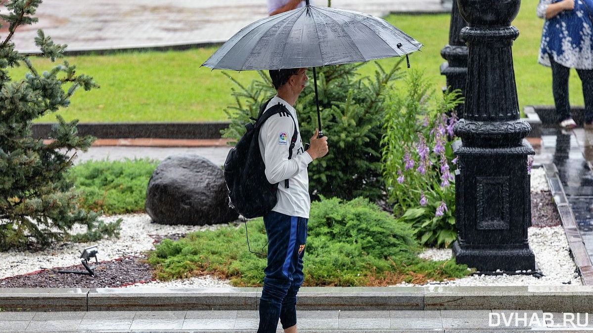 Дожди и потепление обещают Хабаровску синоптики