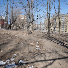 Общественные пространства на Борисенко, Некрасовской и сквер Кутузова благоустроят в 2025 году по итогам онлайн-голосования