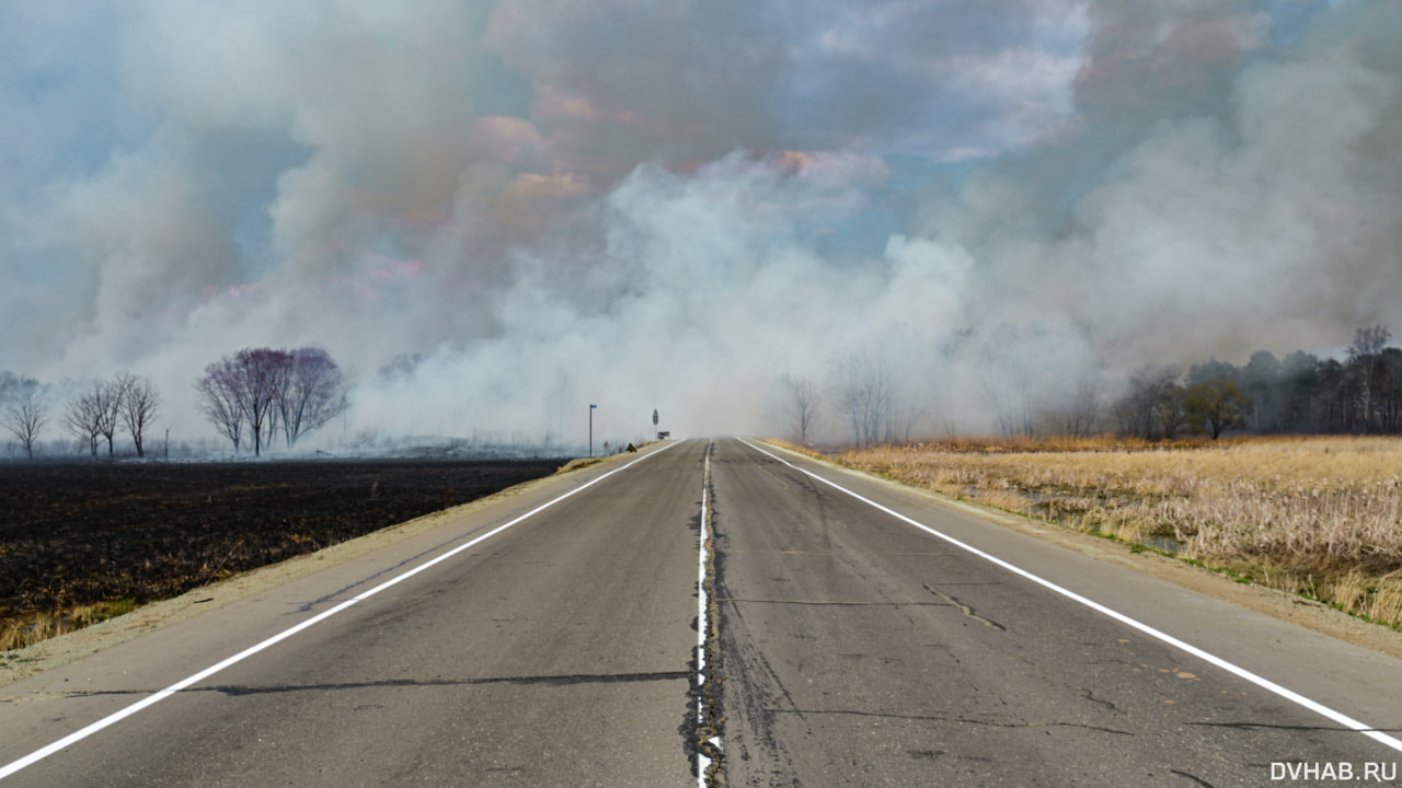Все лесные пожары потушили в Хабаровском крае