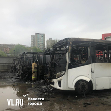 Восемь автобусов сгорело на стоянке на Борисенко (ФОТО; ВИДЕО)