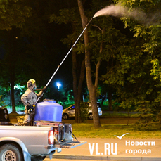 Во Владивостоке деревья и кустарники начнут обрабатывать от насекомых-вредителей с 21 мая