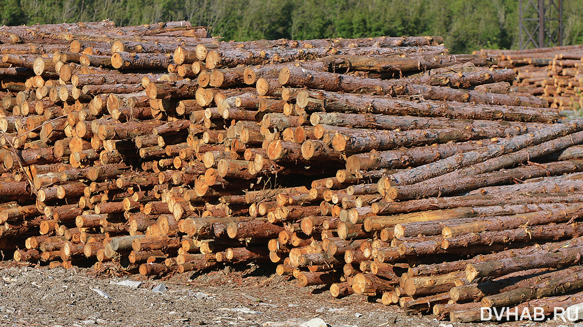За уклонение от уплаты таможенных платежей на 82 миллиона осудят лесопромышленников