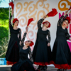 Танец фламенко популярен среди цыган Латинской Америки — newsvl.ru