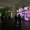 На выставке представлено 4 экспозиции мультимедиахудожницы из Владивостока — newsvl.ru