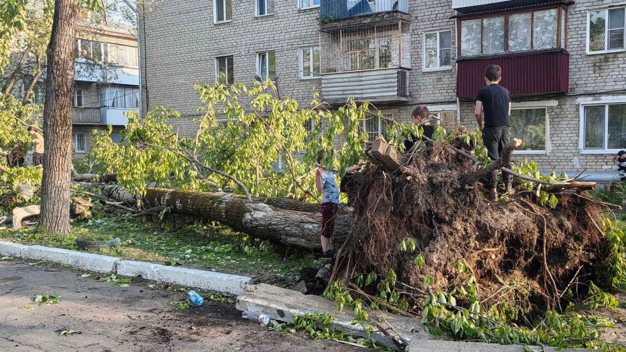 В ЕАО ветер повалил деревья, сорвал с крыш шифер и оставил людей без света (ФОТО)