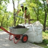 Мастера озеленения помогали садить деревья аккуратно — newsvl.ru