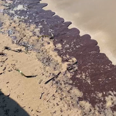 В Находке прокуратура проверяет информацию о загрязнении пляжа «Волна» нефтепродуктами 