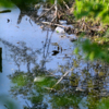 Берега и дно озера покрыты мусором — newsvl.ru