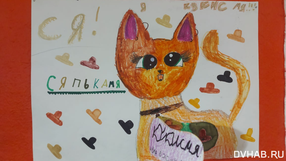 Внутренний мир кота и хомяка представили на выставке в Комсомольске (ФОТО)