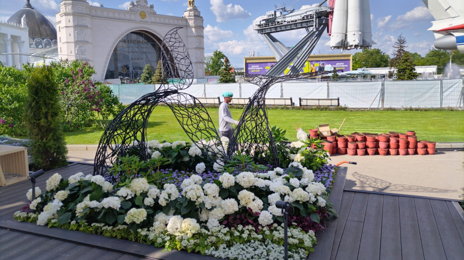Композицию с китами презентовал Хабаровский край на фестивале флористики в Москве