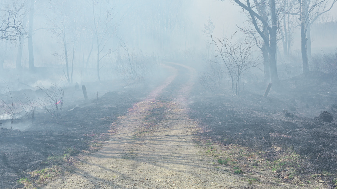 Распространение огня увеличивается в Хабаровском крае