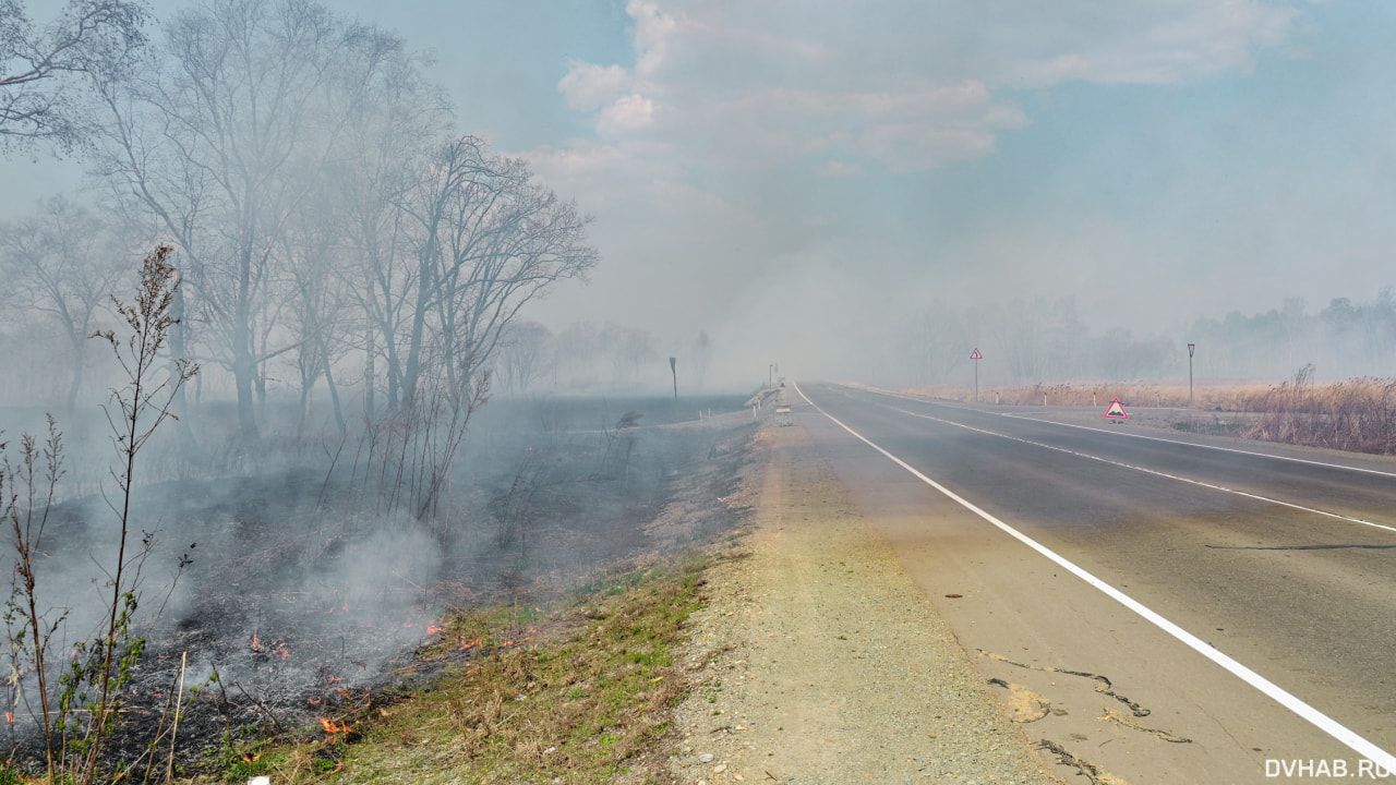 Двенадцать лесных пожаров потушили в Хабаровском крае