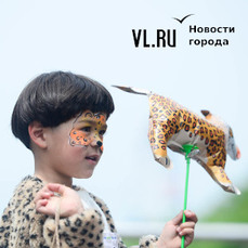 Забег, показ мод и перформанс: «День леопарда» отметят во Владивостоке в субботу