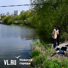 Почему на Чане умирает рыба: кто и как ставит диагноз озеру во Владивостоке 