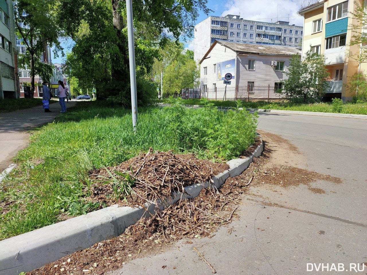 Обессилели: месяц не вывозят собранный «смёт» на Пионерской в Комсомольске  (ФОТО) — Новости Хабаровска