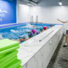 Тренеры ведут ребёнка от нуля до больших бассейнов – всё зависит от его желания — newsvl.ru