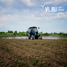 Из-за сильного переувлажнения почвы в Приморье приостановили посевную кампанию сои