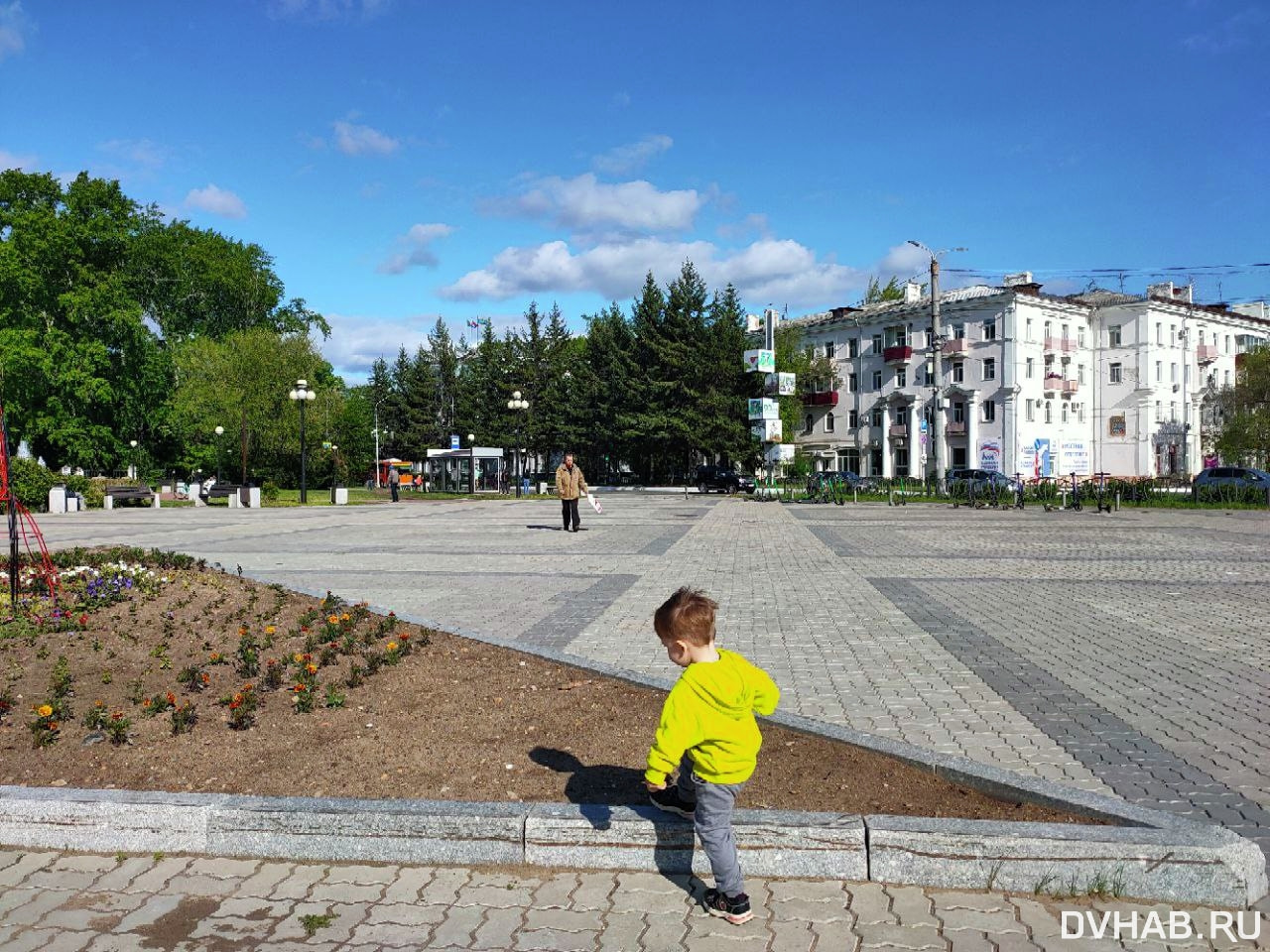 Так было задумано: клумбы на площади Юности в Комсомольске засажены не  полностью (ФОТО) — Новости Хабаровска