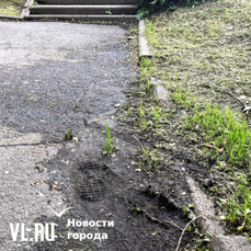 Лысые газоны, пыльные бури и открытые мусорные баки: откуда на улицах Владивостока берётся грязь