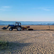 Пляж на Шаморе чистят от мусора, камней, ракушек и водорослей