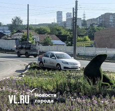 Водителя каршеринга, припарковавшегося на цветнике на Луговой, ищут во Владивостоке
