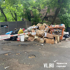 Вывезти мусор из контейнеров во Владивостоке ПЭО обещает в течение пяти дней