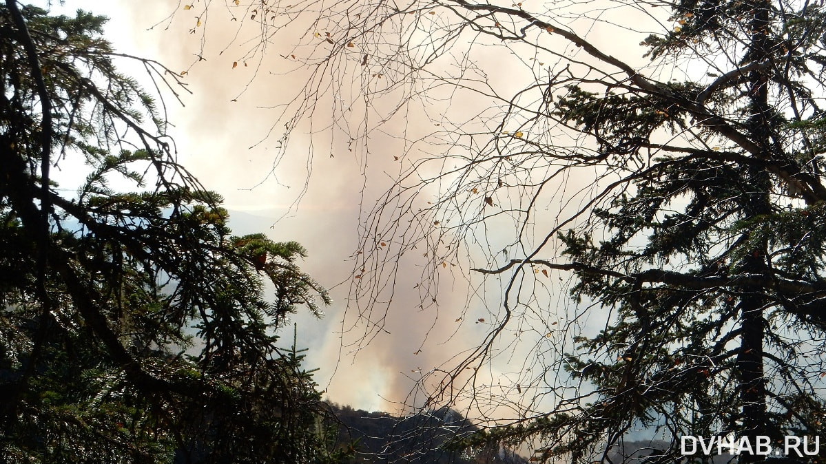 Пять лесных пожаров возникло в Хабаровском крае из-за гроз